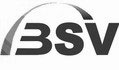 Logo BSV klein